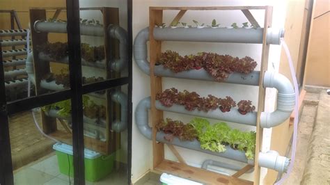 IoT Technology Hydroponic Farms Uganda