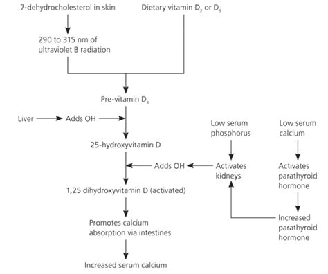 Recognition And Management Of Vitamin D Deficiency Aafp