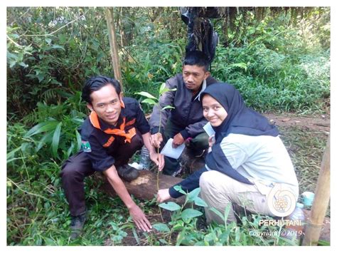 Perhutani Perhutani Bersama Mahasiswa UPI Menanam Pohon Di Hutan