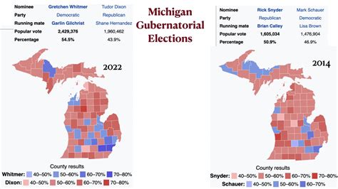 Michigan Election Results August 8 2025 Sella Daniella