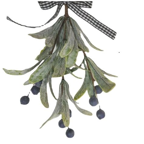 How To Grow Mistletoe — An Experts Guide Livingetc