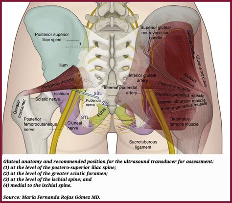 Dr Omid Bandarchi M D On Twitter Spectacular Work Of Dr Mar A