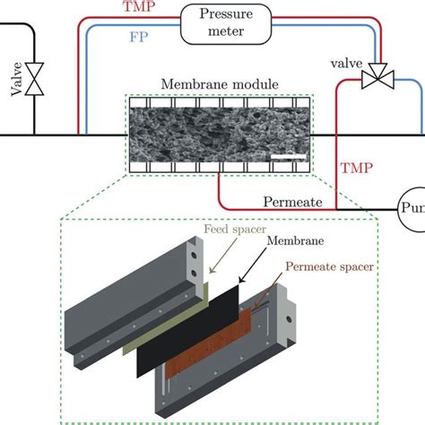 Schematic Illustration Of The Cross Flow Filtration Set Up And Sem Download Scientific Diagram