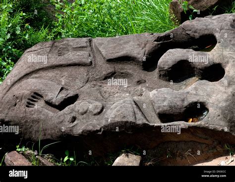 Vat Phou Crocodile Stone Banque De Photographies Et Dimages à Haute