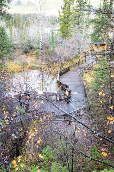 The Cave and Basin: Why You SHOULD Visit! - Travel Banff Canada