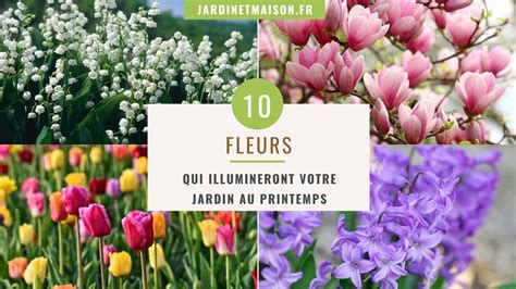 Fleurs Qui Illumineront Votre Jardin Au Printemps Youtube