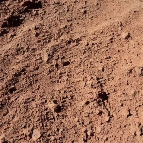 Faint Virgin Mary Ghost Imprint Mars Soil Stable Diffusion Openart