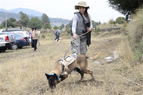 Caso Lesly Mart Nez Hallan Cuerpo En Guerrero Con Caracter Sticas