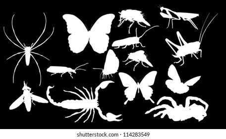 Illustration Insect Silhouettes Isolated On Black Stock Vector Royalty