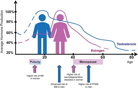 Frontiers Sexx Matters In Multiple Sclerosis