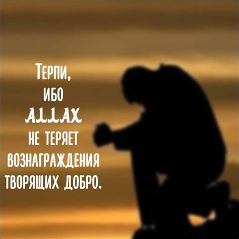 Терпи, ибо Аллах не теряет вознаграждения творящих добро. وَاصْبِرْ ...