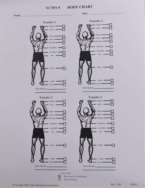 15S15 Body Position Chart - Bases of Virginia