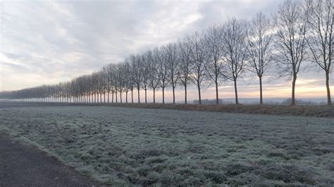 Mais O Est Pass Le Soleil Dans L Oise Record De Grisaille En Janvier