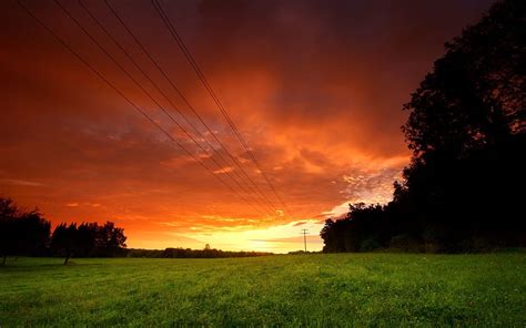 Nature Sunset Sky Greens Field Evening Wires Wire Hd Wallpaper