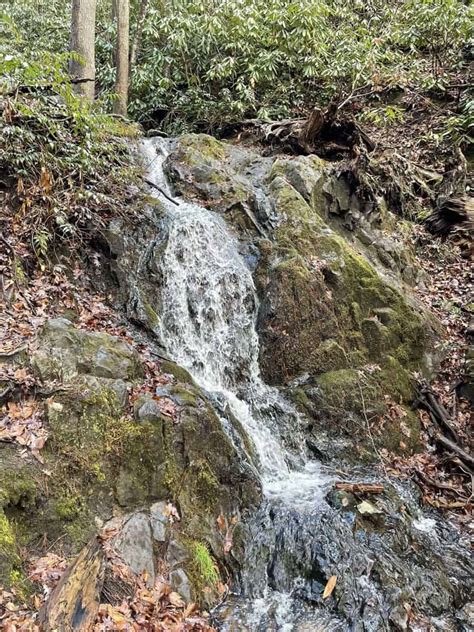 Short Hiking Trails In Gatlinburg, TN