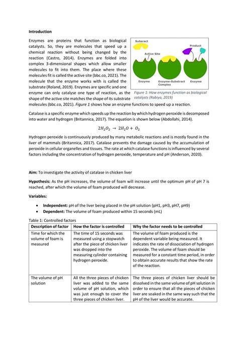 Catalase in beef liver practical | Biology - Year 12 SACE | Thinkswap