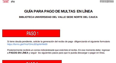 Pago De Multas En Linea Actualizado Junio 2024