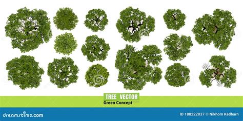 Trees Top View For Landscape Vector Illustration Stock Vector