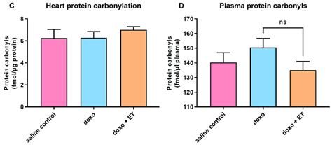 Oxidative Damage Biomarkers Although Slight Increases Were Observed In