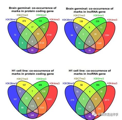 全基因组分析揭示长非编码rna的差异表观特征模式51cto博客非编码rna 表观遗传