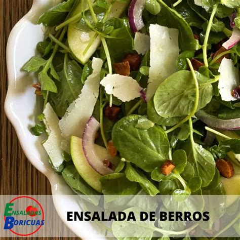 → Receta 《ensalada De Berros 》puertorriqueña ※ ↑↑ 【2024】