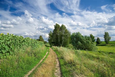 Land Landschaft mit Feldern Straße Bäume und schöne bewölkten Himmel