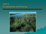 PPT UNIT 1 SUSTAINING ECOSYSTEMS PowerPoint Presentation Free