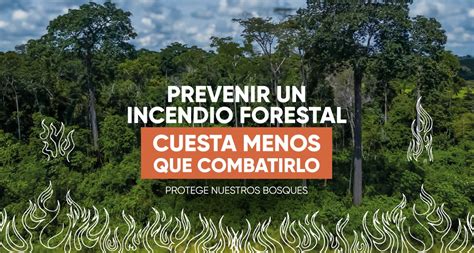 Prevenir un incendio forestal cuesta menos que combatirlo Campañas