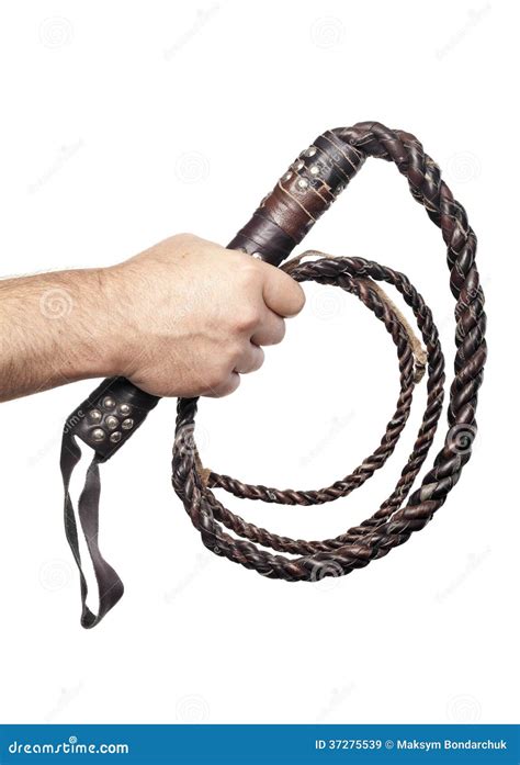 Male Hand Holding Brown Leather Whip Isolated On White Stock Image