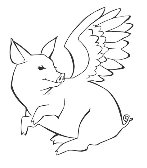 Drawing Flying Pig - ClipArt Best