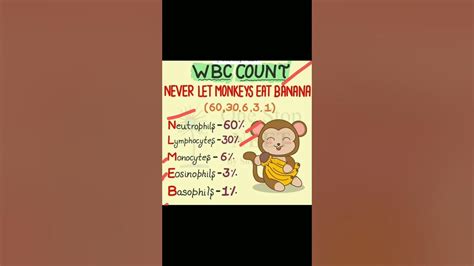 WBC Count Granulocytes And Agranulocytes & Their Percentage Neet 2023 #ncertquickrevision - YouTube