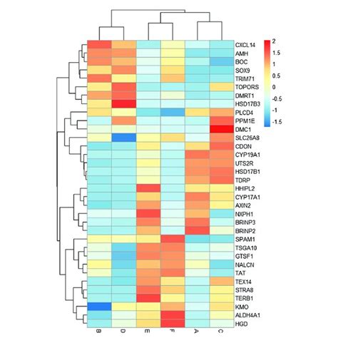 Heat Map Of The Expression Levels Of Key Candidate Genes Related To