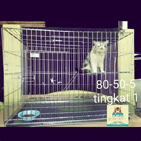 Jual Kandang Kucing Tingkat Uk 80x50x50 Shopee Indonesia