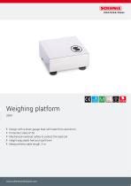 Platform Scale Soehnle Industrial Solutions Gmbh Kg With