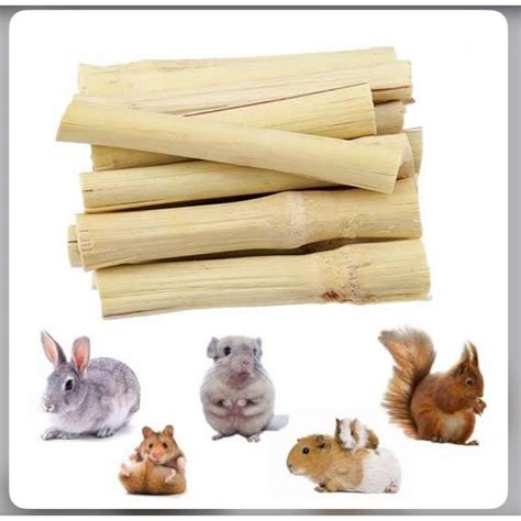 Jual Makanan Hamster Snack Hamster Stick Tebu Kelinci Dan Marmut