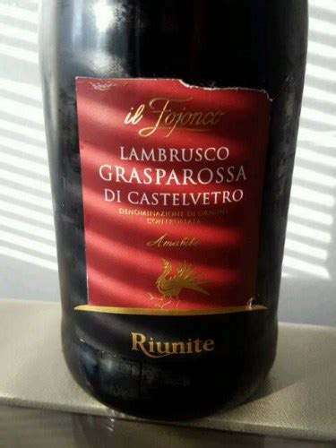 Cinghio Del Fojonco Lambrusco Grasparossa Di Castelvetro Vivino Us