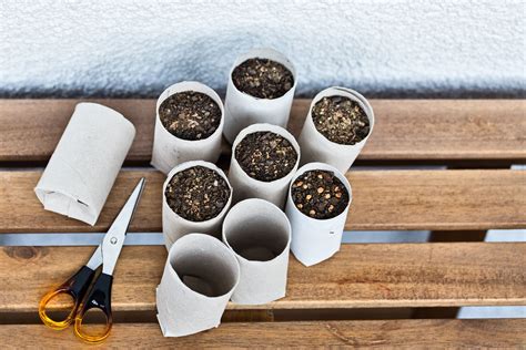 DIY: Make a Pot, Plant Seeds, Grow Bird Food | Audubon