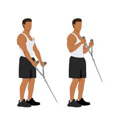 Man Doing Cable Tricep Kickbacks Exercise Vector Image