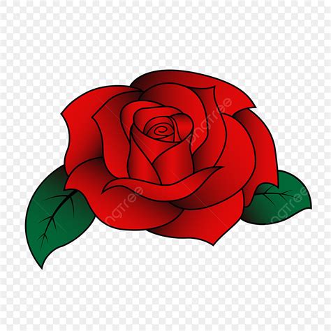 Foto Bunga Mawar – newstempo