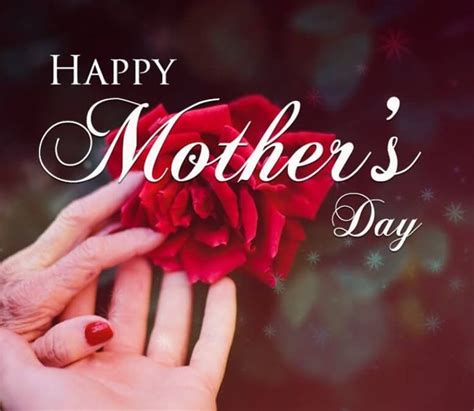 Best 80 Happy Mothers Day Quotes And Wishes For All Moms 2020 Quotes Yard Happy Mothers Day