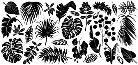 Fern Tattoo Vector Images Over 300