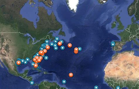 Global Shark Tracker Boing Boing