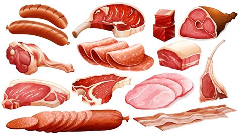 Different types of meat products 297820 Vector Art at Vecteezy