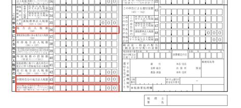 法人税申告書の書き方は手順やポイントを初心者向けにわかりやすく解説