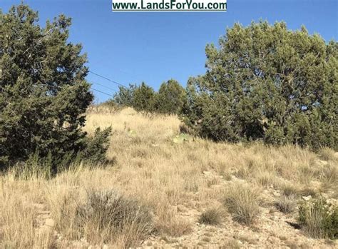 0 29 Acres In Yavapai County Arizona