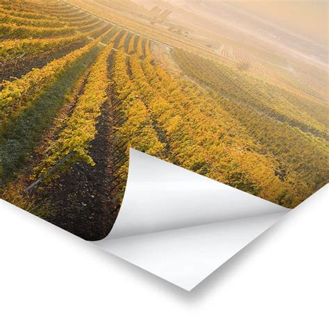 Herbstliche Weinberge Bei Wien Poster Im Querformat 3 2 Bilderwelten