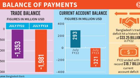 Remittance Flow The Business Standard