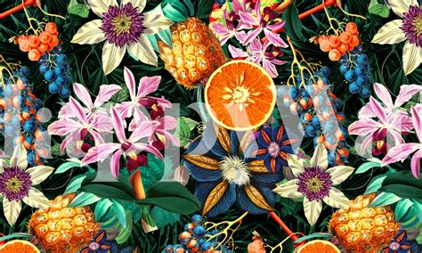 Tropical Orange Garden Wallpaper - Buy Online at Happywall