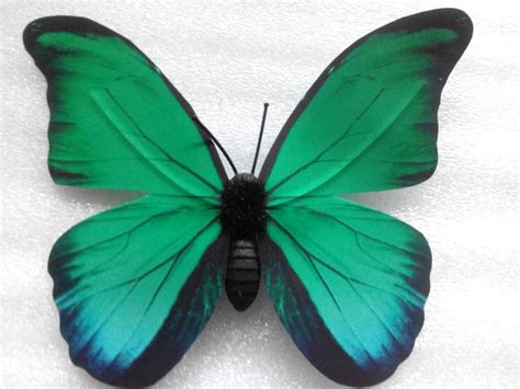 Free Green Butterfly, Download Free Green Butterfly png images, Free ...