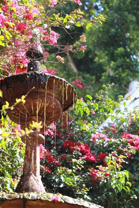 Garden fountains, Beautiful gardens, Garden fountain